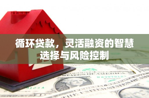 南涧循环贷款，灵活融资的智慧选择与风险控制