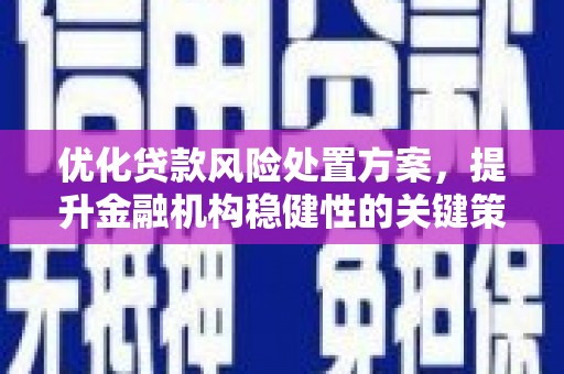 东至优化贷款风险处置方案，提升金融机构稳健性的关键策略