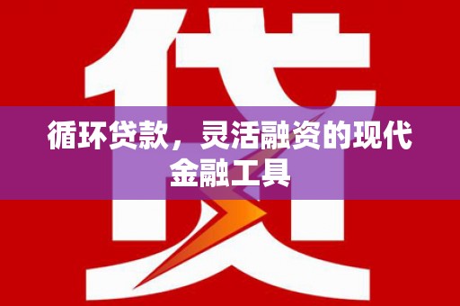 衢州循环贷款，灵活融资的现代金融工具