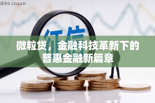 肃州微粒贷，金融科技革新下的普惠金融新篇章