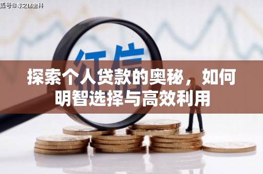 林园探索个人贷款的奥秘，如何明智选择与高效利用