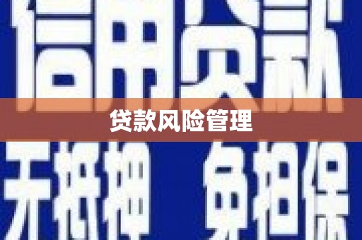 平南贷款风险管理