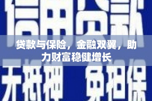 万源贷款与保险，金融双翼，助力财富稳健增长