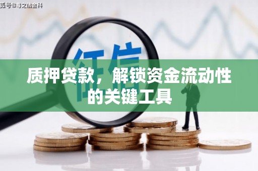 沙田质押贷款，解锁资金流动性的关键工具