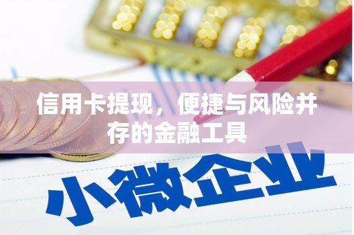 东凤信用卡提现，便捷与风险并存的金融工具