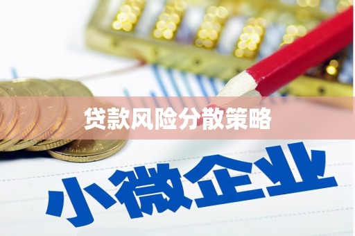 文县贷款风险分散策略