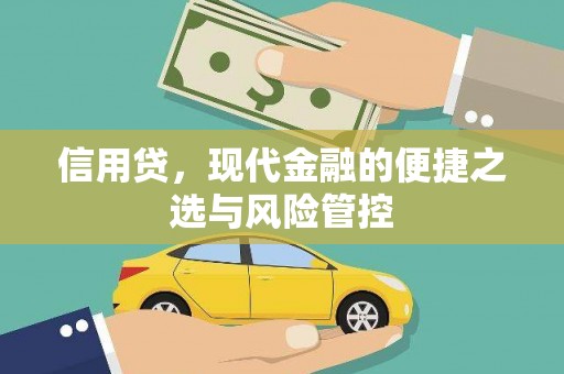 和政信用贷，现代金融的便捷之选与风险管控