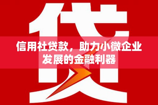 道滘信用社贷款，助力小微企业发展的金融利器