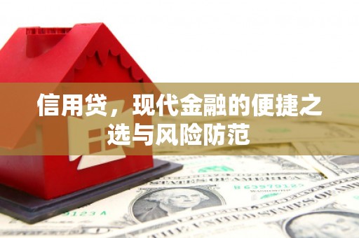 竹东信用贷，现代金融的便捷之选与风险防范