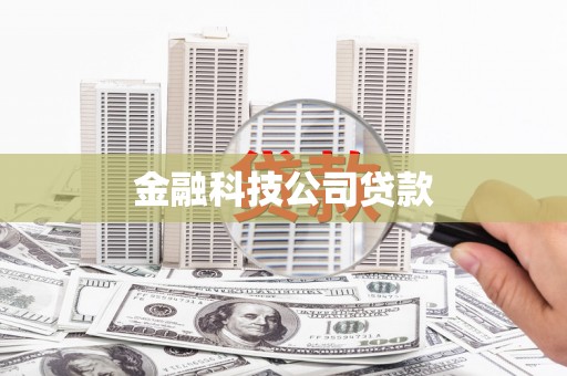 巴青金融科技公司贷款