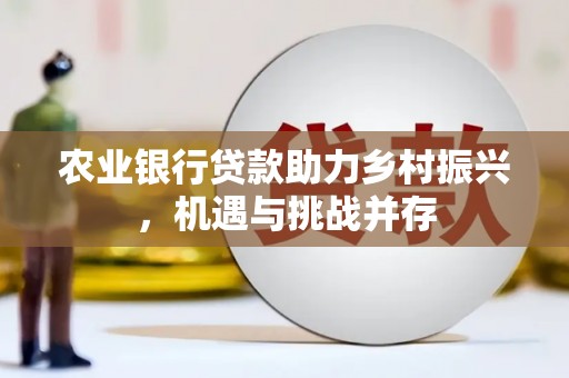 金湾农业银行贷款助力乡村振兴，机遇与挑战并存