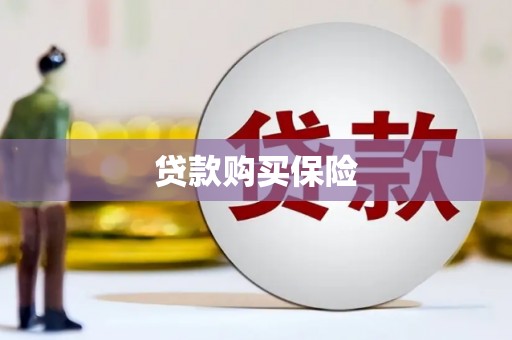 泾阳贷款购买保险