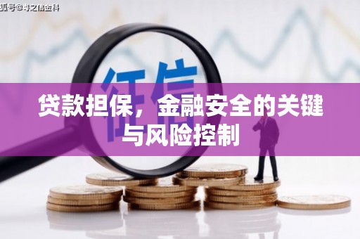 湖滨贷款担保，金融安全的关键与风险控制