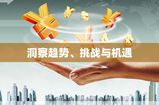 南城洞察趋势、挑战与机遇