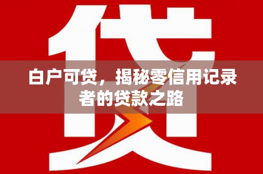 湖内白户可贷，揭秘零信用记录者的贷款之路