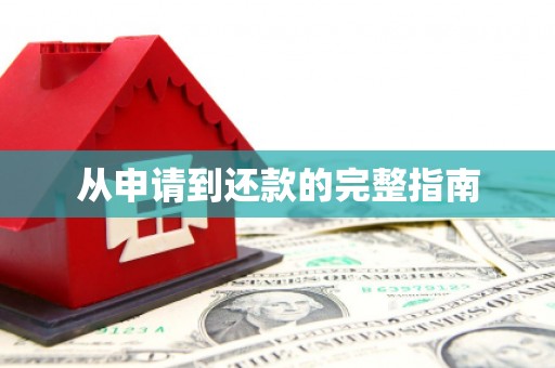四湖从申请到还款的完整指南