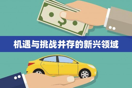 凤山机遇与挑战并存的新兴领域