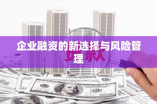 八里企业融资的新选择与风险管理