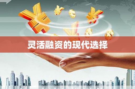 林甸灵活融资的现代选择