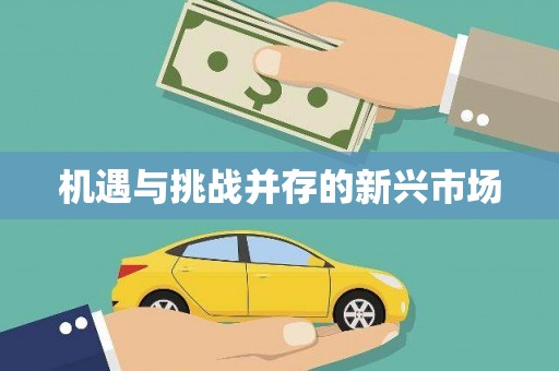 凤泉机遇与挑战并存的新兴市场