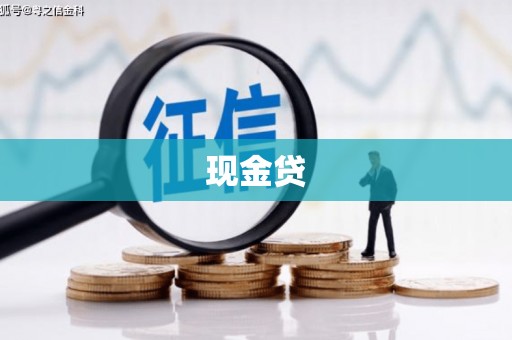 甘谷现金贷