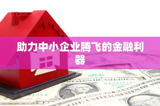 云霄助力中小企业腾飞的金融利器