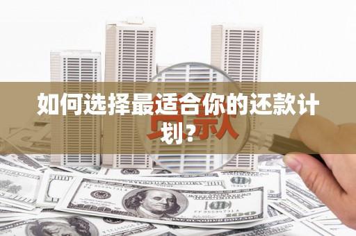 新埤如何选择最适合你的还款计划？